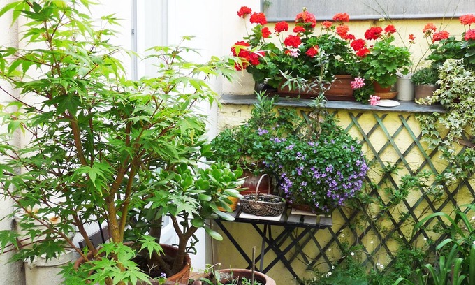 Plaisance Apartamento | Tranquilo estudio patio 14 de París cerca de Montparnasse, 25 m2