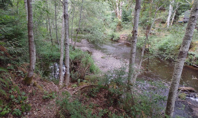 Shelton Alquiler De RV | Quiet tent site. Lots of room. Pet friendly.