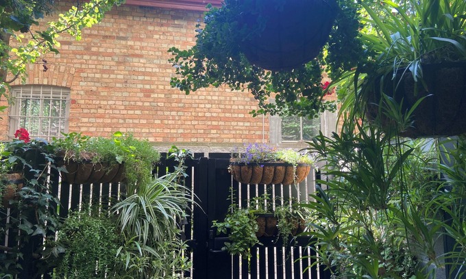 Coburg Apartamento | Quiet Urban Oasis. Central to both City and Parkland. Easy Ground floor access