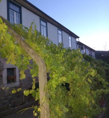 Lamego Casa | Quinta Casa Do Quintal