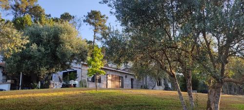 Santar Casa | Quinta da Pedra Mija
