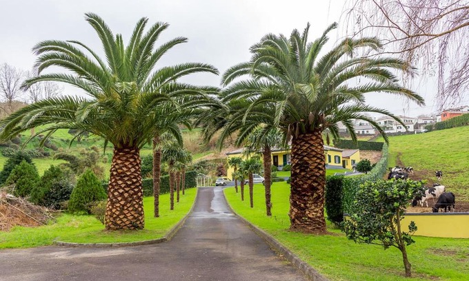 Povoacao Casa | Quinta das Palmeiras