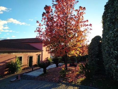 Vila Marim Casa | Quinta de Baixo