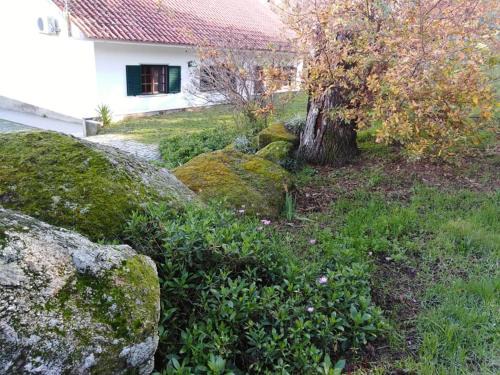 Castelo Novo Casa | Quinta Souto da Ordem - House