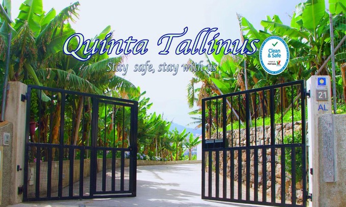 Santo Antonio Apartamento | Quinta Tallinus