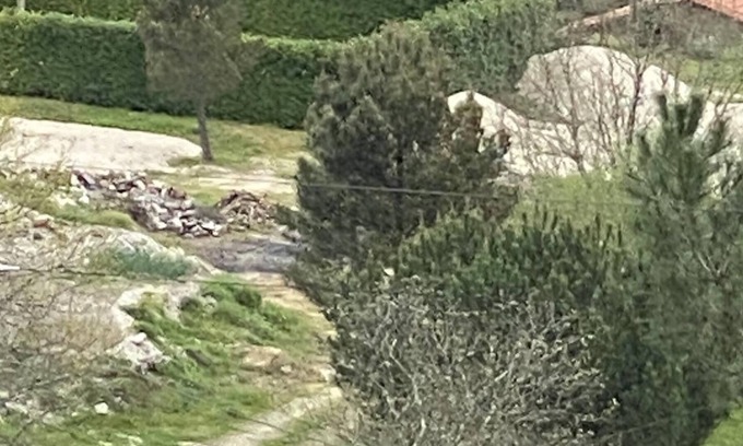 Insua Otro | Quinta Vale da Aldeia
