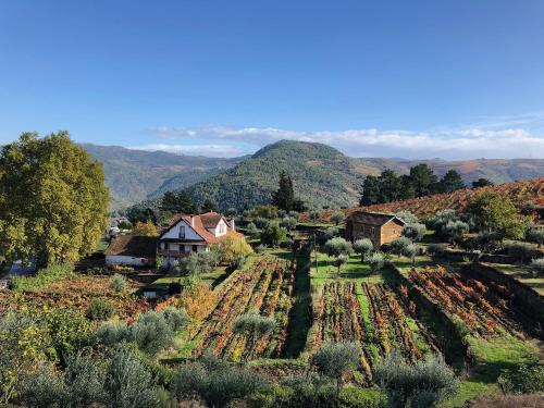 Cotas Casa | Quinta Vila Rachel - Winery