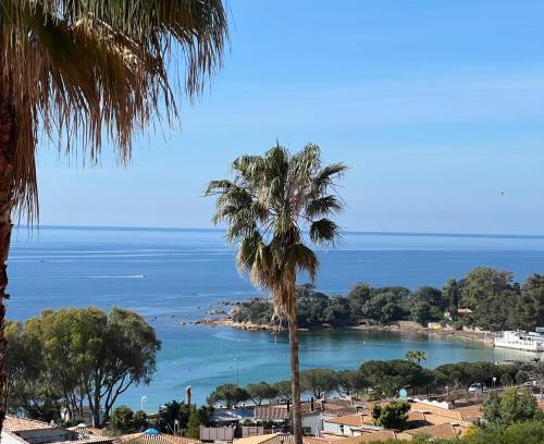 Ajaccio Apartamento | Quintessenza Casa in Ajaccio