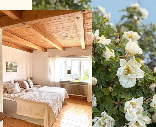 Hammenhog Cama Y Desayuno | Rävåkra B&B Österlen