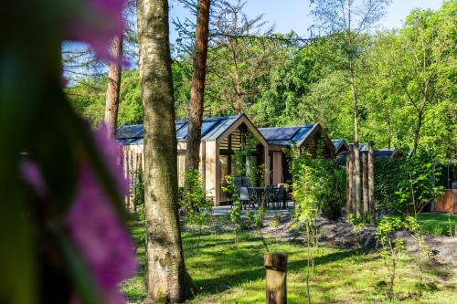 Lage Vuursche Complejo | Résidence Lage Vuursche