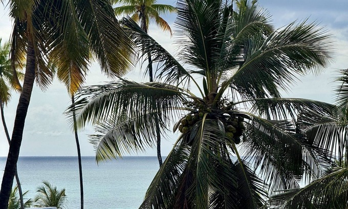 Nungwi Hotel | Rafiki Hotel Nungwi Beach