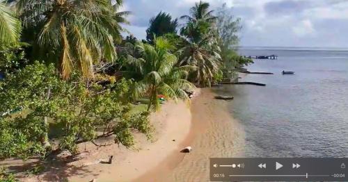 Teahupoo Casa | RAIATEA - The BEACH HOUSE - plage sur le lagon !