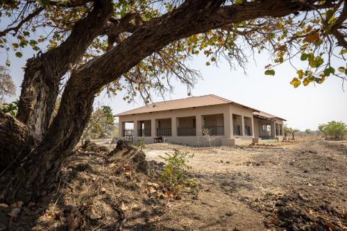 Kafue National Park Cabina | Rain Tree Camp