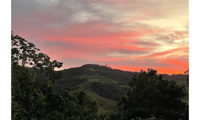 Guzman Arriba Apartamento | Rainforest Retreat between mountains and sea