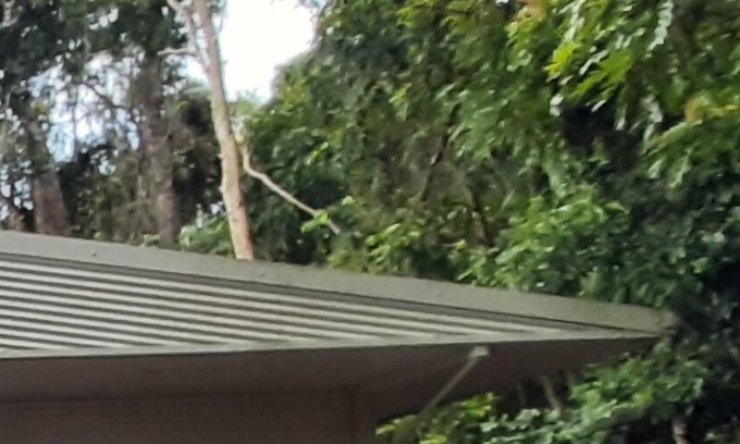Carmoo Casa | Rainforest Retreat Be At One with Nature
