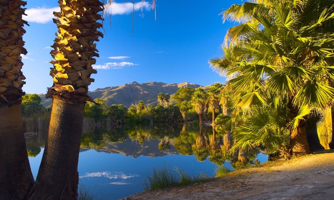 Palm Springs Apartamento | Raintree's Cimarron Golf Resort