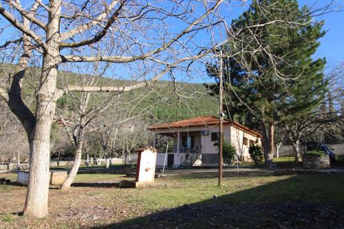 Polidrosos Casa | Raise Polydrosos Family Lodge