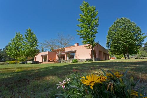 Beijos Casa | Raizes e Particulas