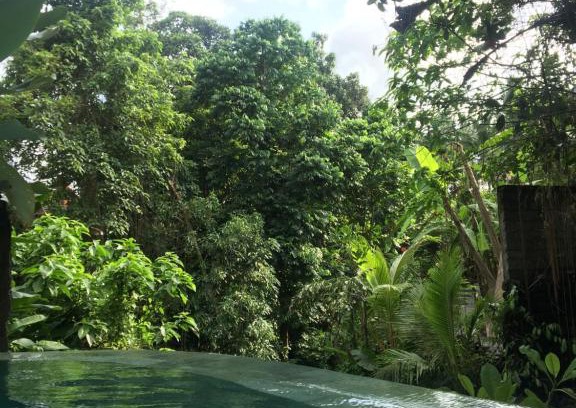 Ubud City-Centre Casa | Raka Rai Bungalows