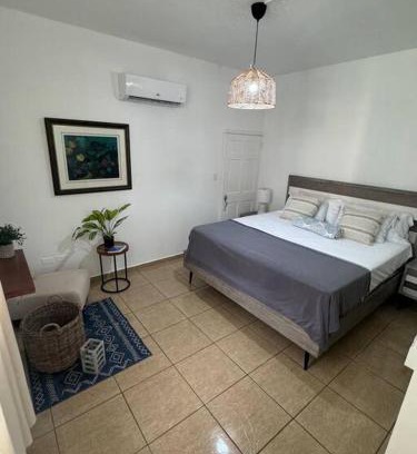 Maleza Baja Apartamento | Ramey Loft 3