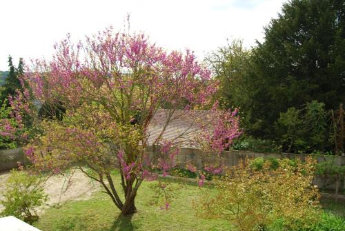 Giverny Casa | Ramier