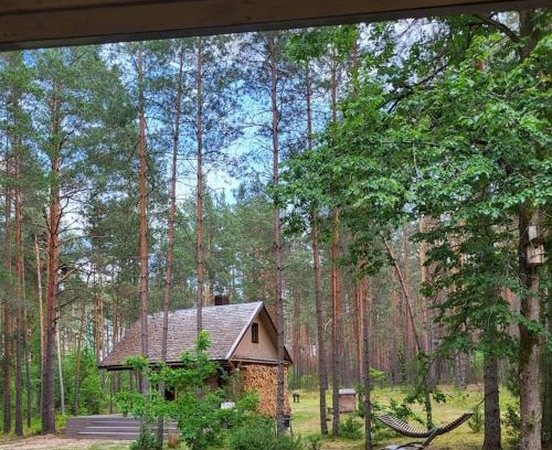 Alytus county Casa | Ramus poilsis miške su kedro pirtimi ir kubilu