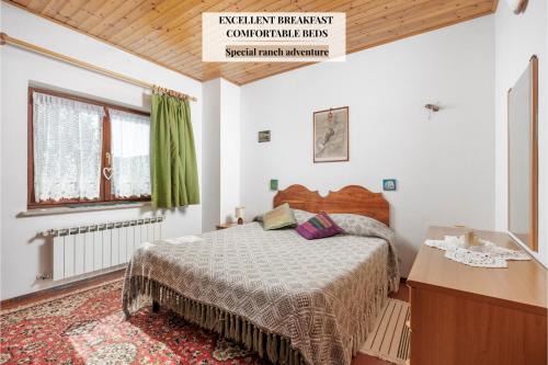 Podgorje Apartamento | Ranč Katja in Abdul