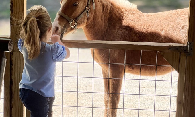 Centerville Cabina | Ranch Lodge - A Texas Ranch Getaway