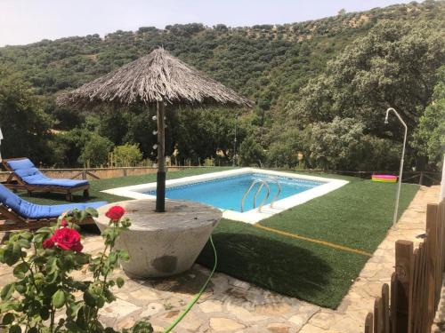 Prado del Rey Casa | Rancho Calvillo