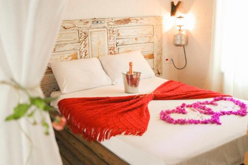 Carolina Casa | Rancho das Estrelas