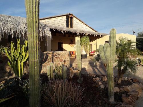 San Ignacio Casa | Rancho Espinoza