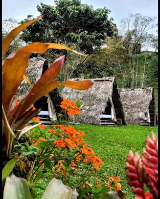 Mocoa Cama Y Desayuno | Rancho Porvenir