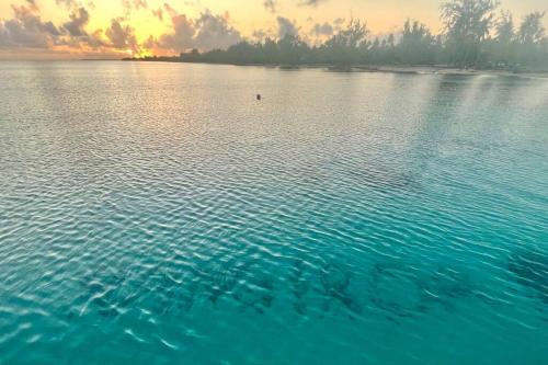 Rangiroa Casa | Rangiroa Tiny House