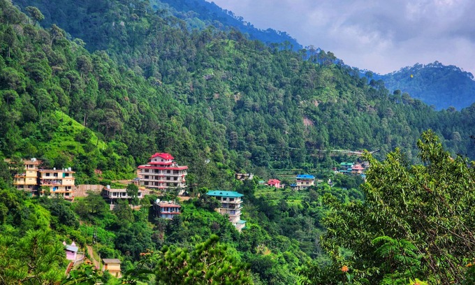 Kumarhatti Villa | Rashmi Cottage - A Boutique Homestay