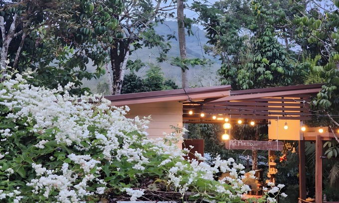 Hat Yai Casa | Rat Min House