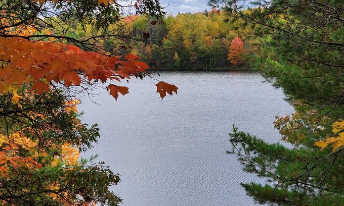 Markville Cabina | Tranquil year round retreat on small quiet lake that has WiFi, a HotTub & Sauna