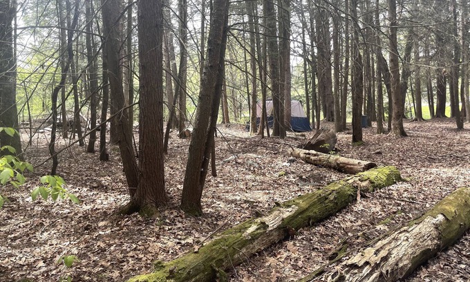 Woodridge Alquiler De RV | Raw Camping.