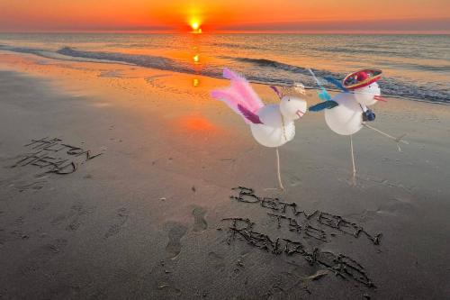 Folly Field Apartamento | Ray's on the Beach