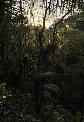 Tapirai Casa | Recanto da Paz