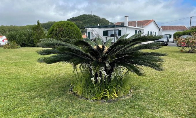 Faja de Baixo Casa | Villa a 2 km do centro