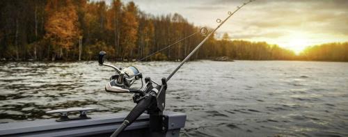 Dordtse Biesbosch Complejo | Recreatie Chalet