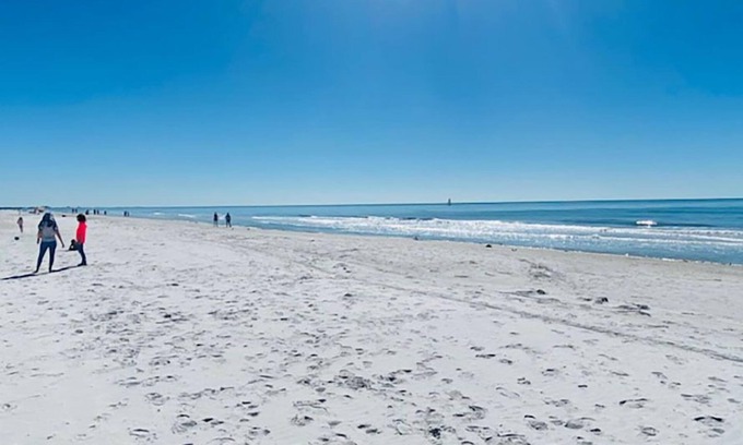 North Redington Beach Condominio | Redington Directly on the Beach Sea Rocket WiFi Parking 30