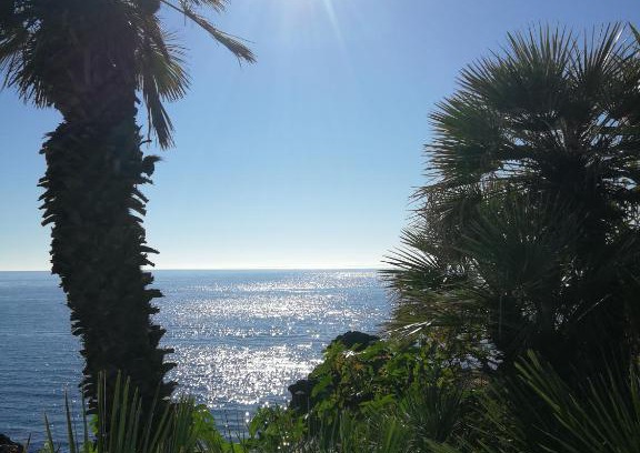 Cannizzaro Apartamento | Reef house loft