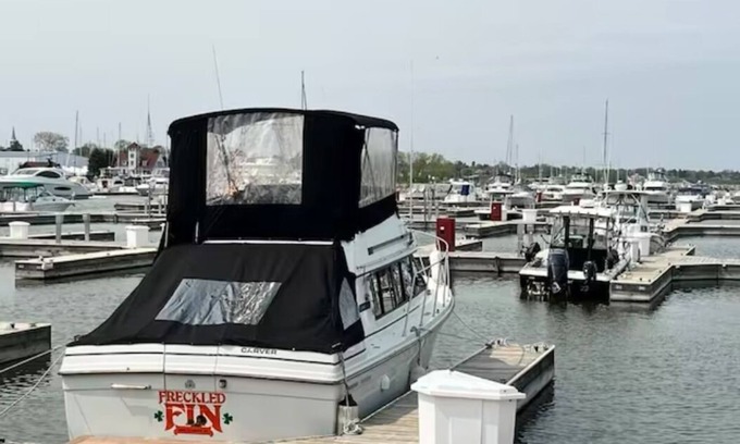 Racine Alquiler De Eote | Reef Point Marina - Vessel: "Freckled Fin" - East Dock 1, Slip 19