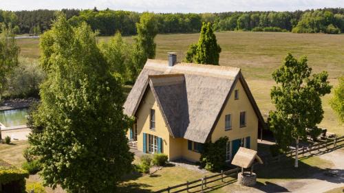 Krienke Casa | Reetdachhaus Kranich mit Schwimmteich in Krienke