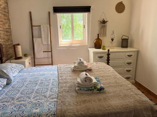 Sapeira Casa | Refúgio dos Sapinhos