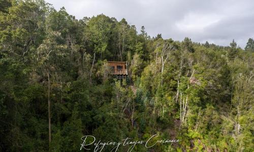 Valdivia Chalet De Esquí | Refugio de montaña con vista al mar