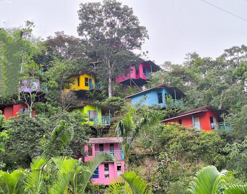 Moyobamba Cabina | Refugio Ecolodge Shapingo