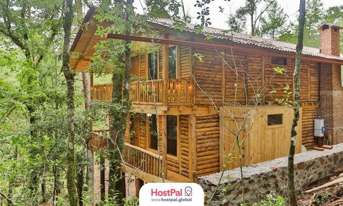 Acaxochitlán Apartamento | Refugio encantado | Tirolesa & Bicicletas | Bosque
