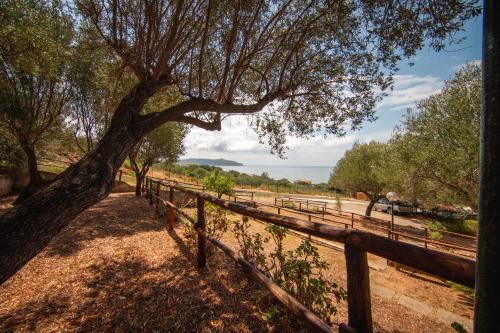 Marina di Pisciotta Otro | Regina Residence Camping